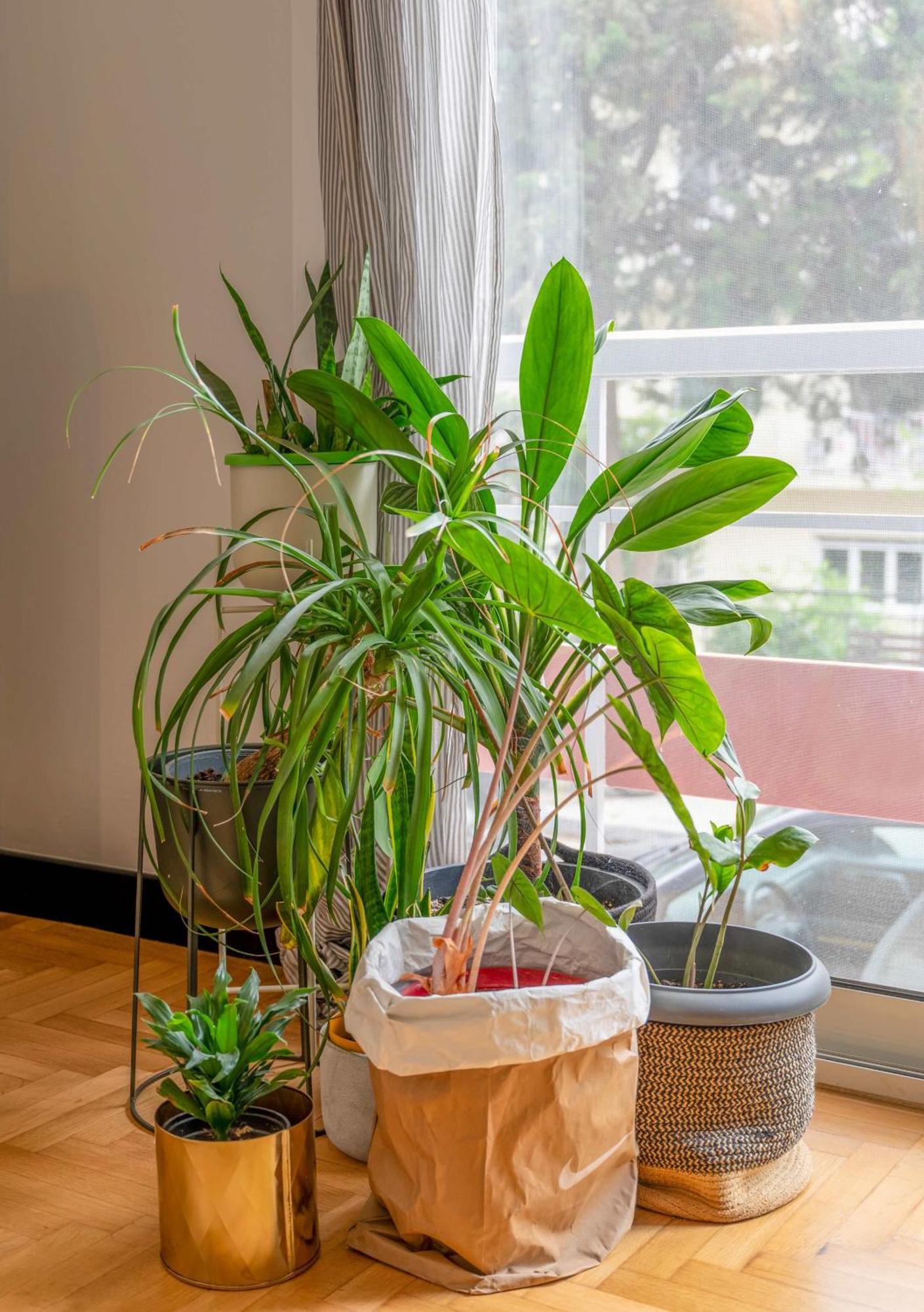 Apartmán O&O Group Stylish Jungle Retreat Kolonaki Center Atény Exteriér fotografie